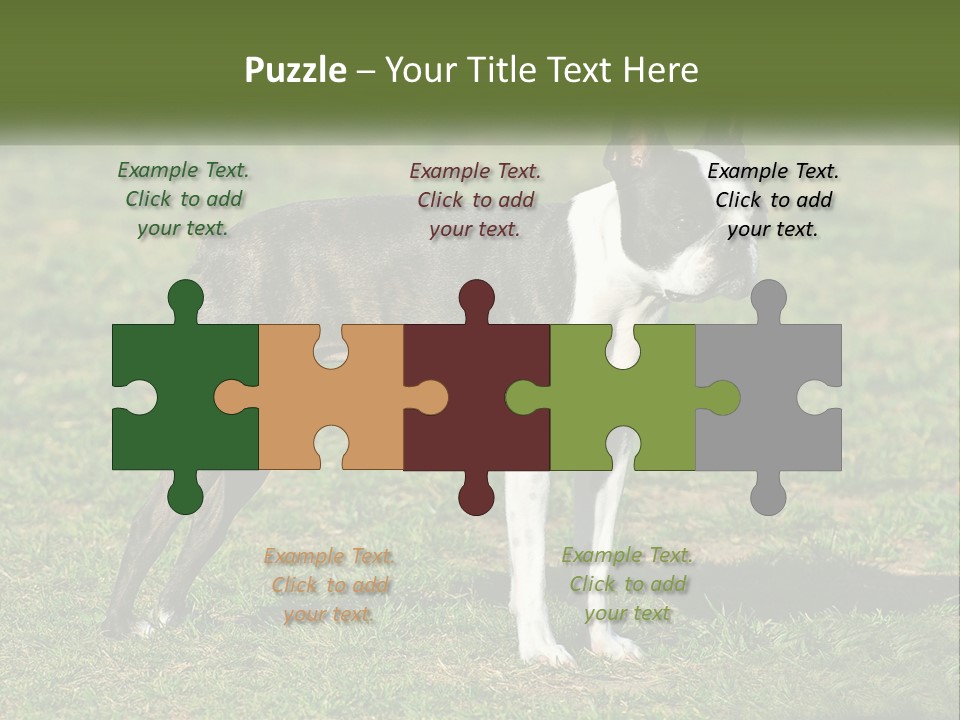 Ownership Home Loan PowerPoint Template