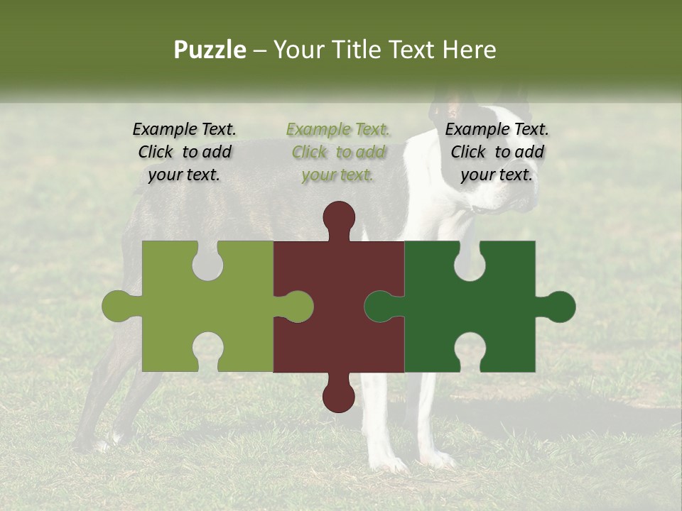 Ownership Home Loan PowerPoint Template