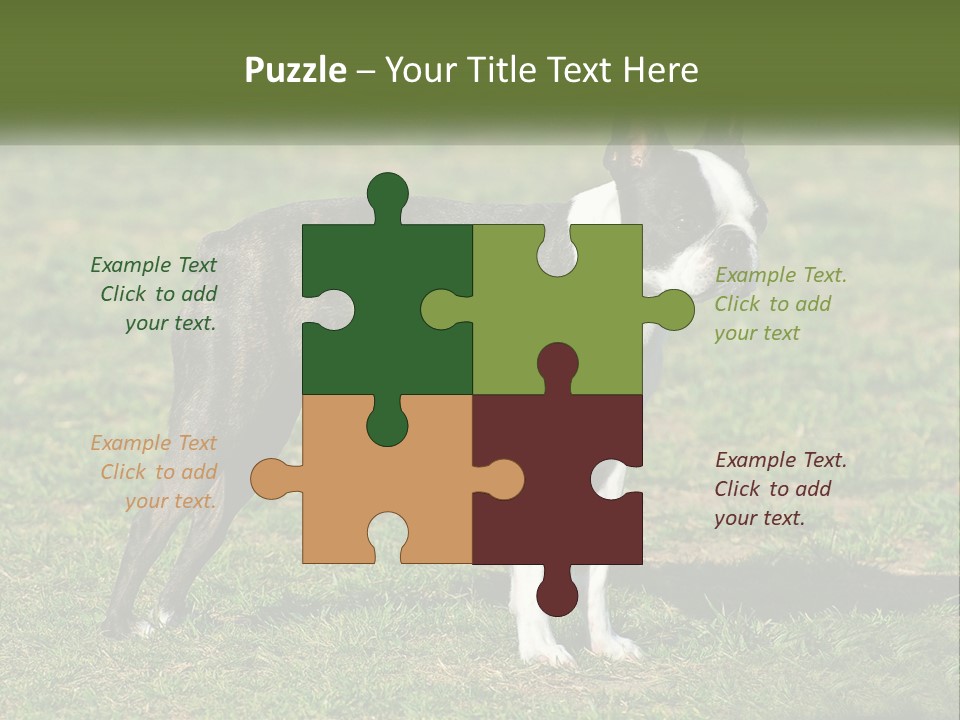 Ownership Home Loan PowerPoint Template