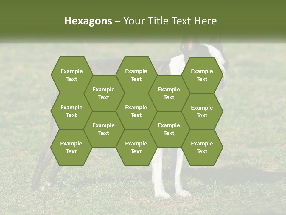 Ownership Home Loan PowerPoint Template