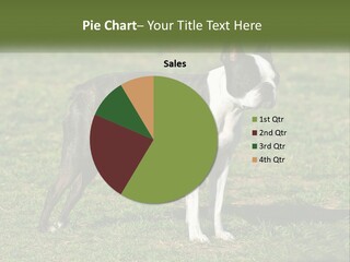 Ownership Home Loan PowerPoint Template