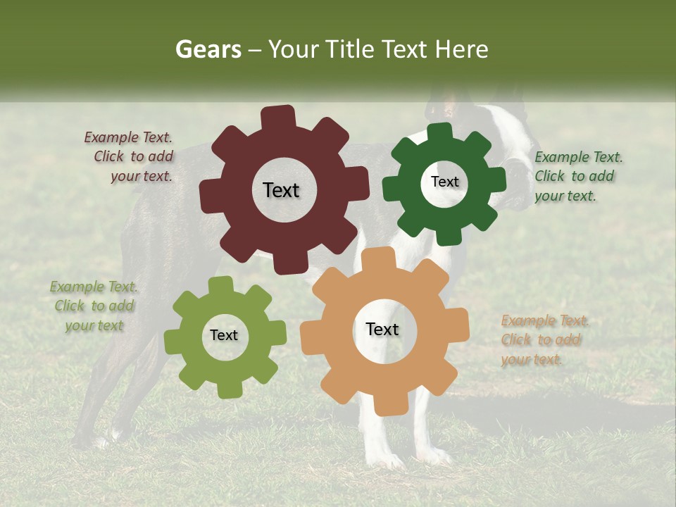 Ownership Home Loan PowerPoint Template