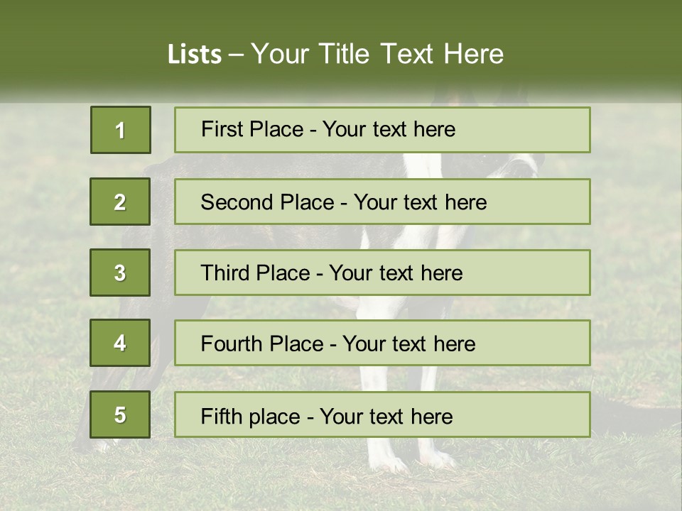 Ownership Home Loan PowerPoint Template