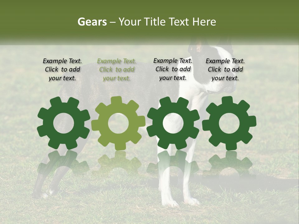 Ownership Home Loan PowerPoint Template