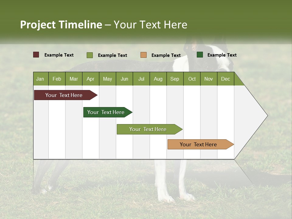 Ownership Home Loan PowerPoint Template