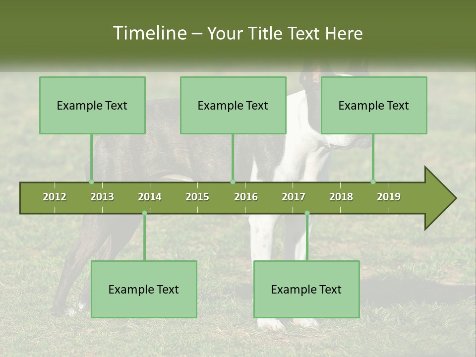 Ownership Home Loan PowerPoint Template