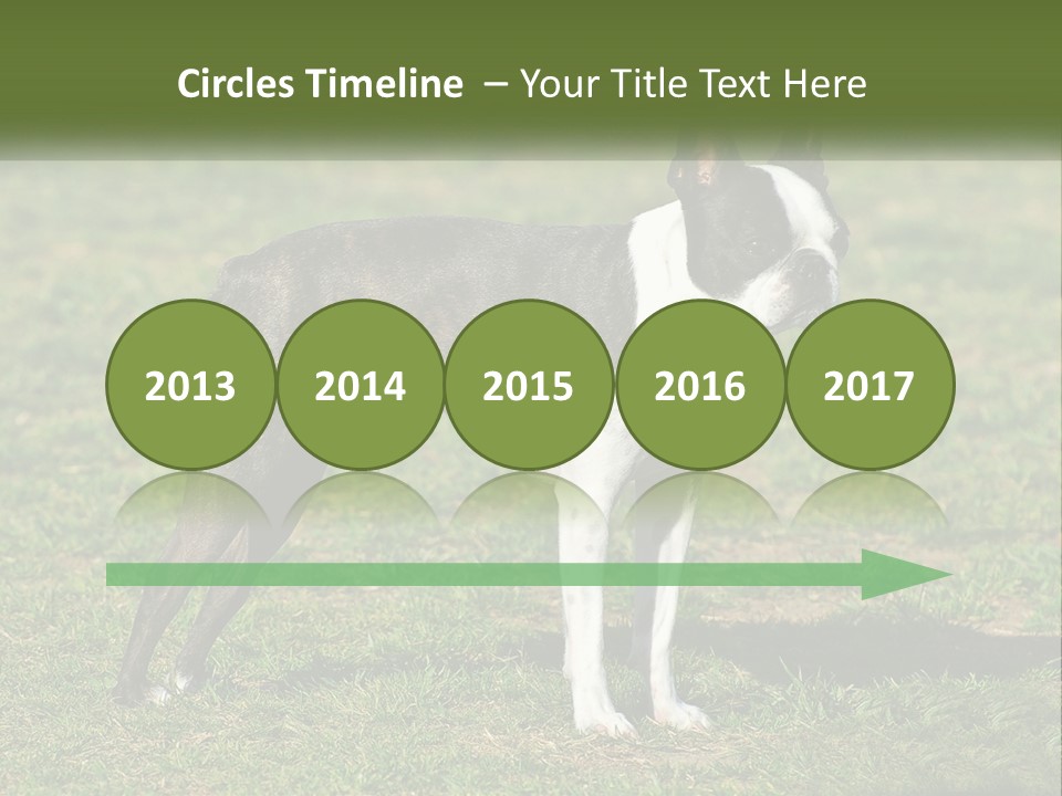 Ownership Home Loan PowerPoint Template