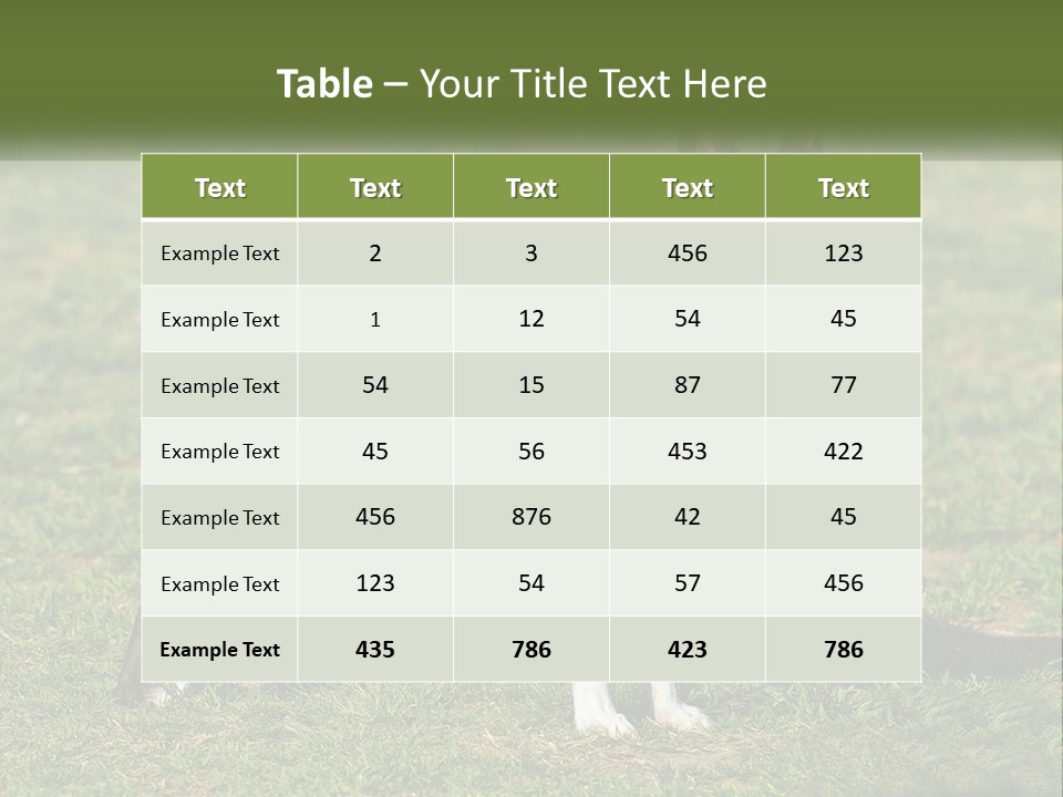 Ownership Home Loan PowerPoint Template