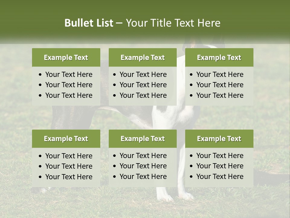 Ownership Home Loan PowerPoint Template