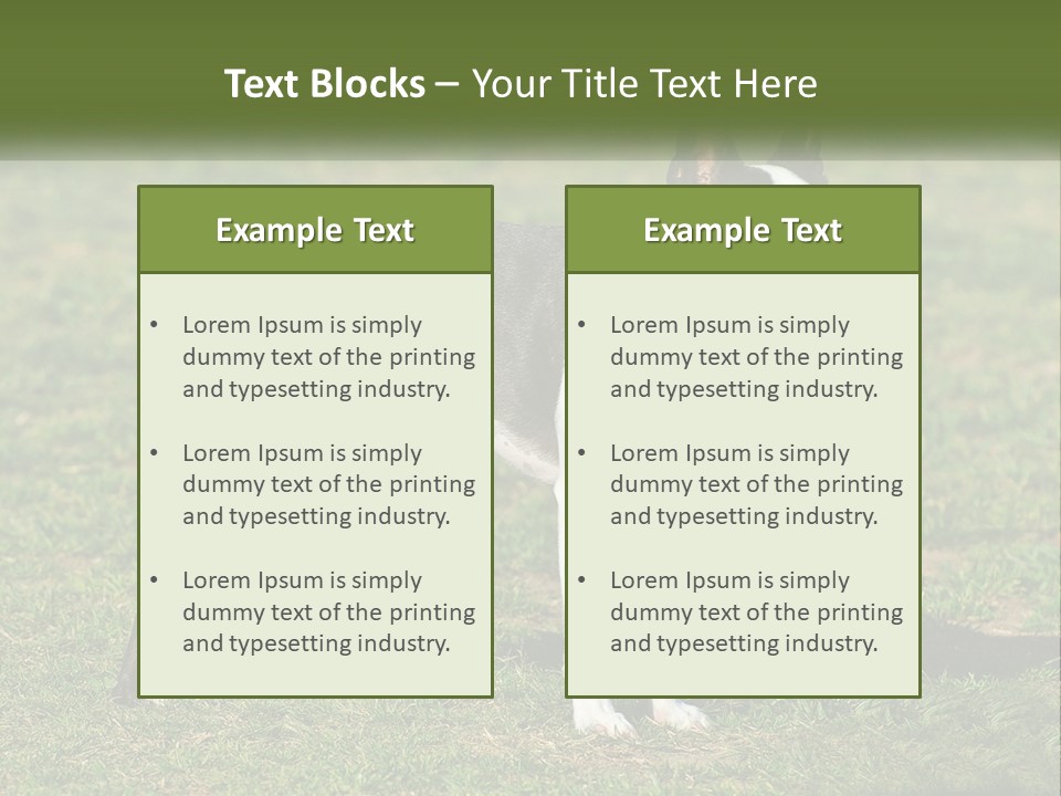 Ownership Home Loan PowerPoint Template