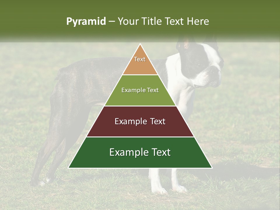 Ownership Home Loan PowerPoint Template