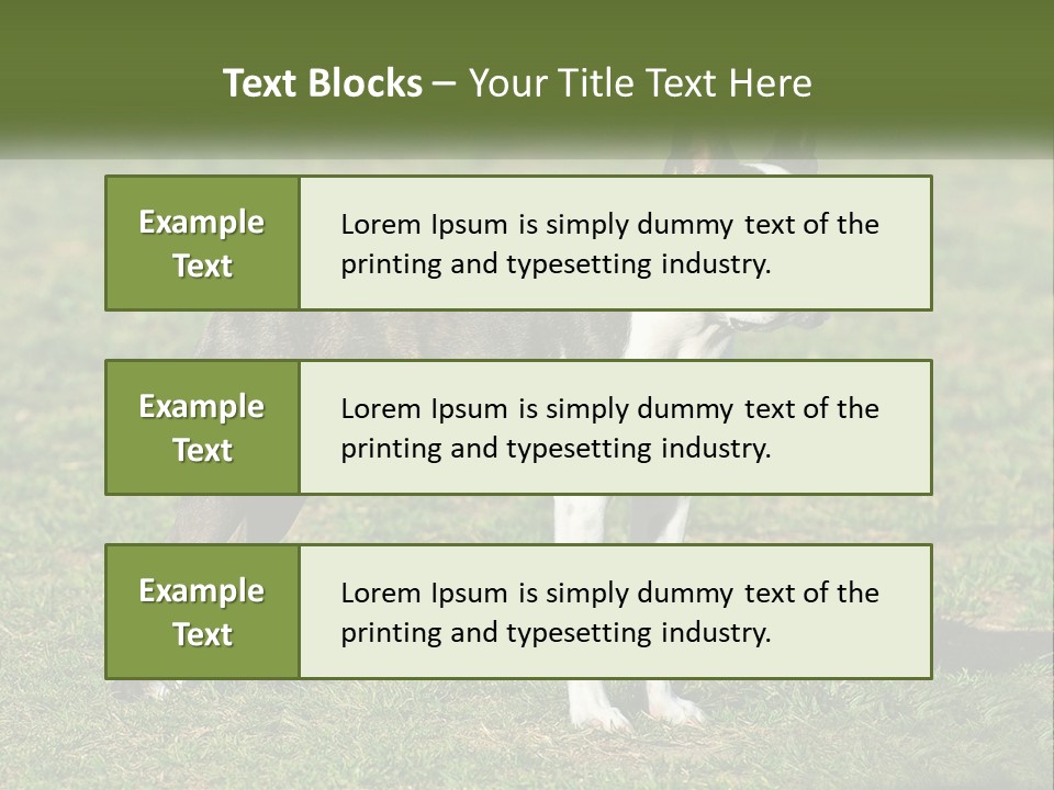Ownership Home Loan PowerPoint Template