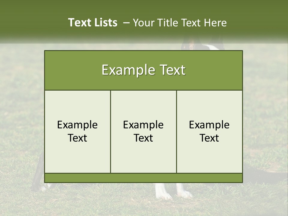 Ownership Home Loan PowerPoint Template