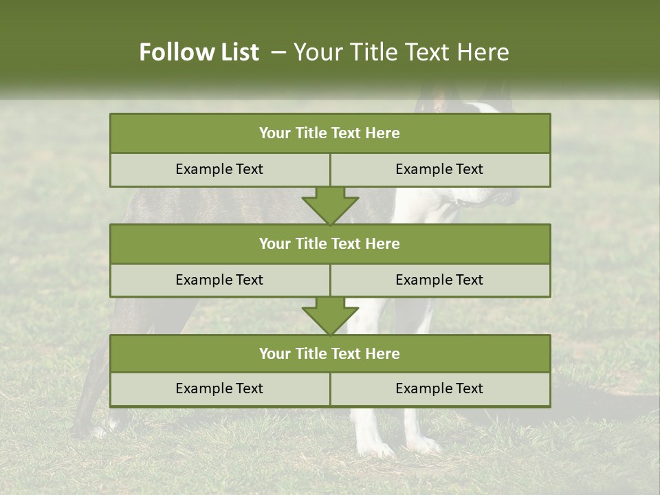 Ownership Home Loan PowerPoint Template