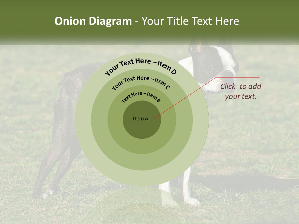 Ownership Home Loan PowerPoint Template