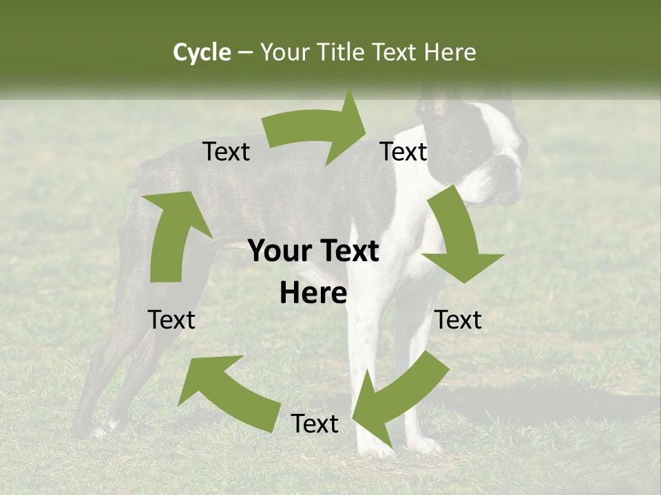 Ownership Home Loan PowerPoint Template
