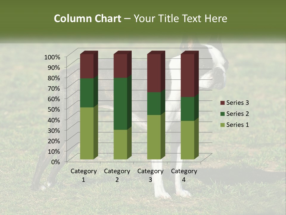Ownership Home Loan PowerPoint Template
