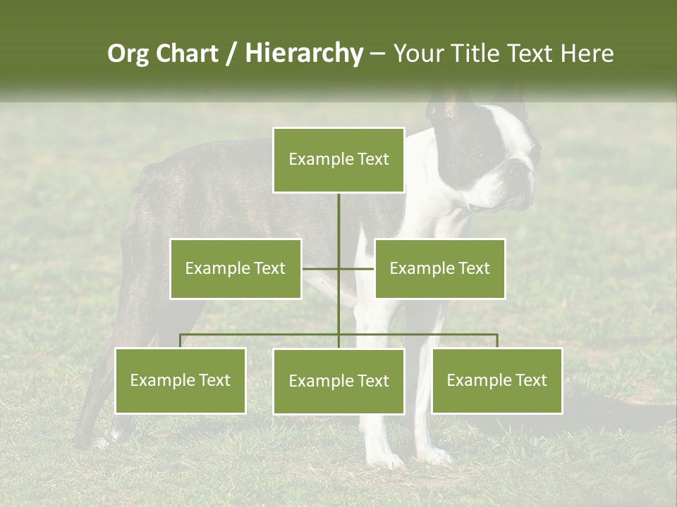 Ownership Home Loan PowerPoint Template
