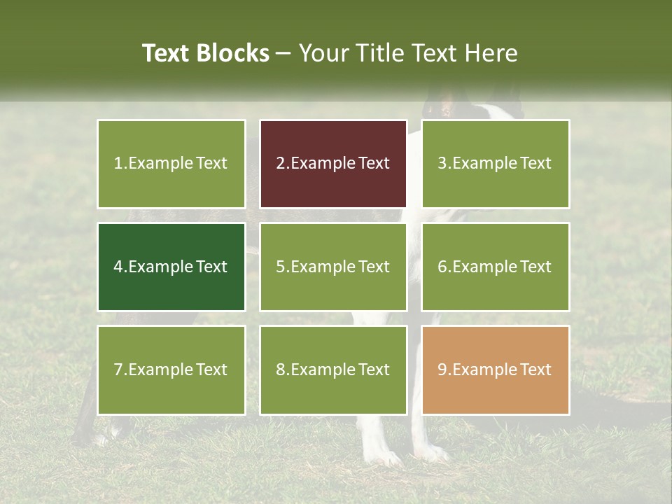 Ownership Home Loan PowerPoint Template