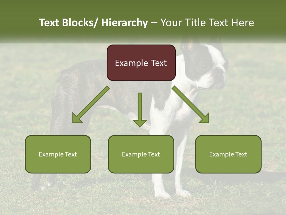 Ownership Home Loan PowerPoint Template