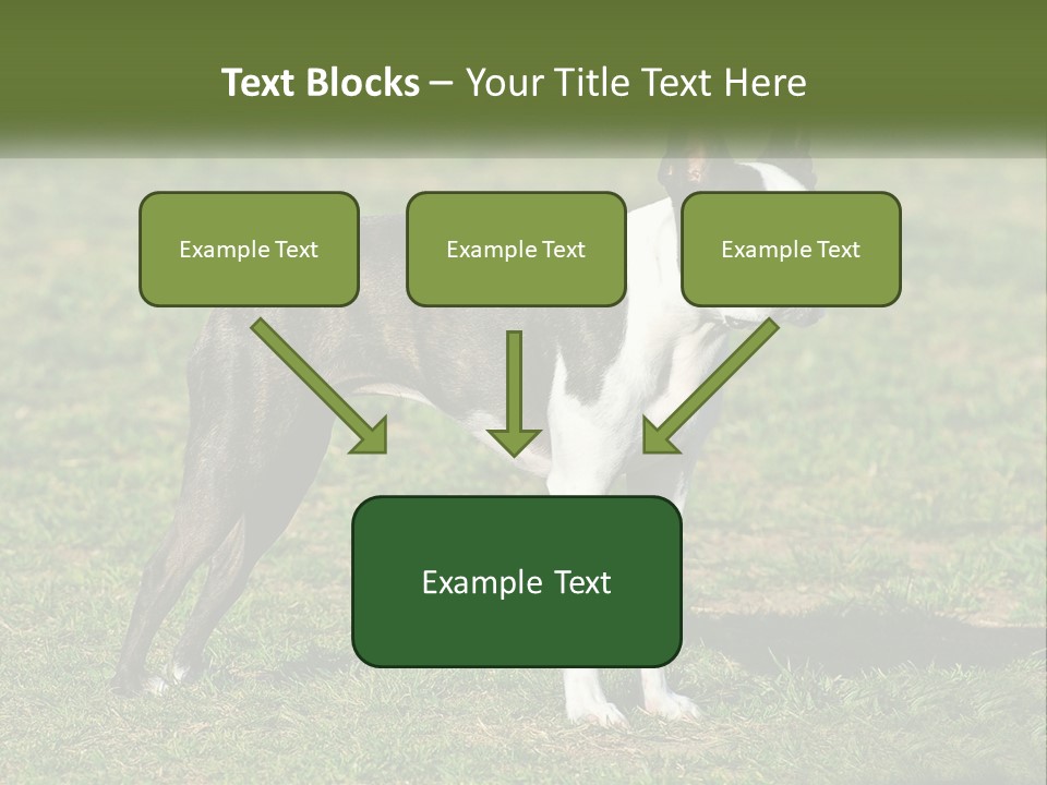 Ownership Home Loan PowerPoint Template