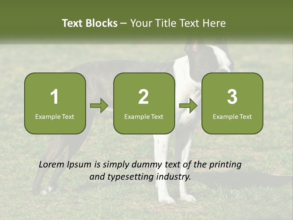 Ownership Home Loan PowerPoint Template