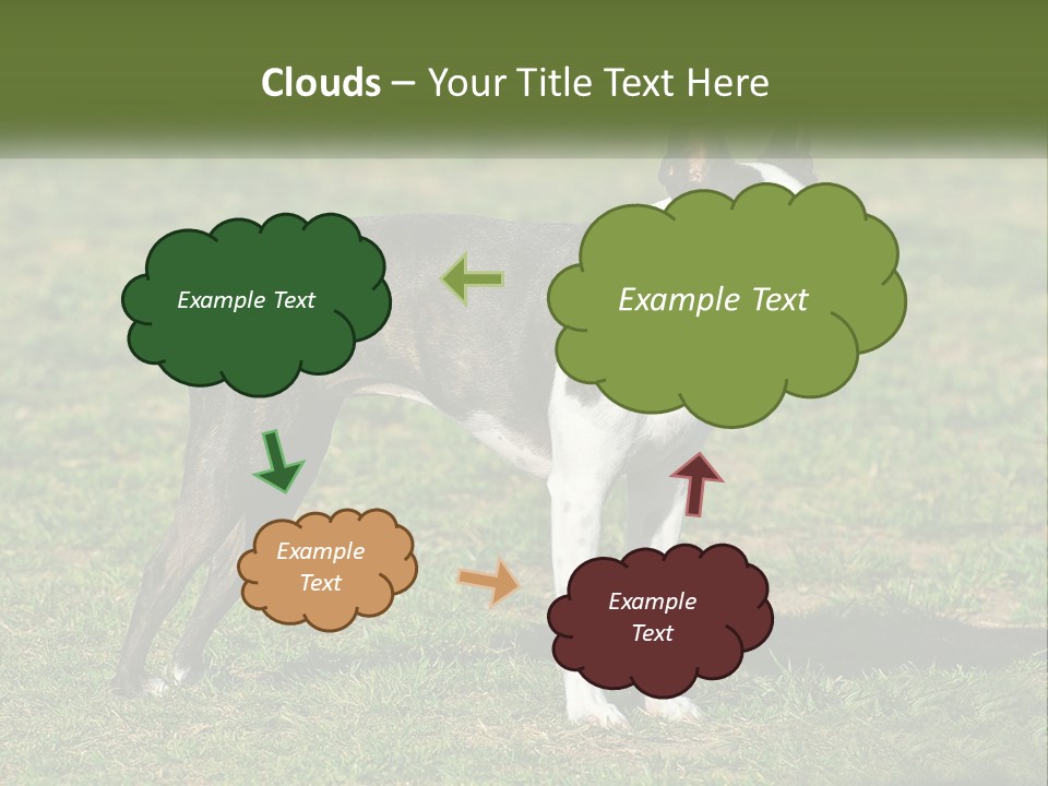Ownership Home Loan PowerPoint Template