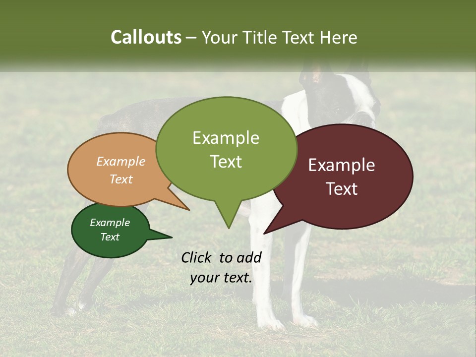 Ownership Home Loan PowerPoint Template