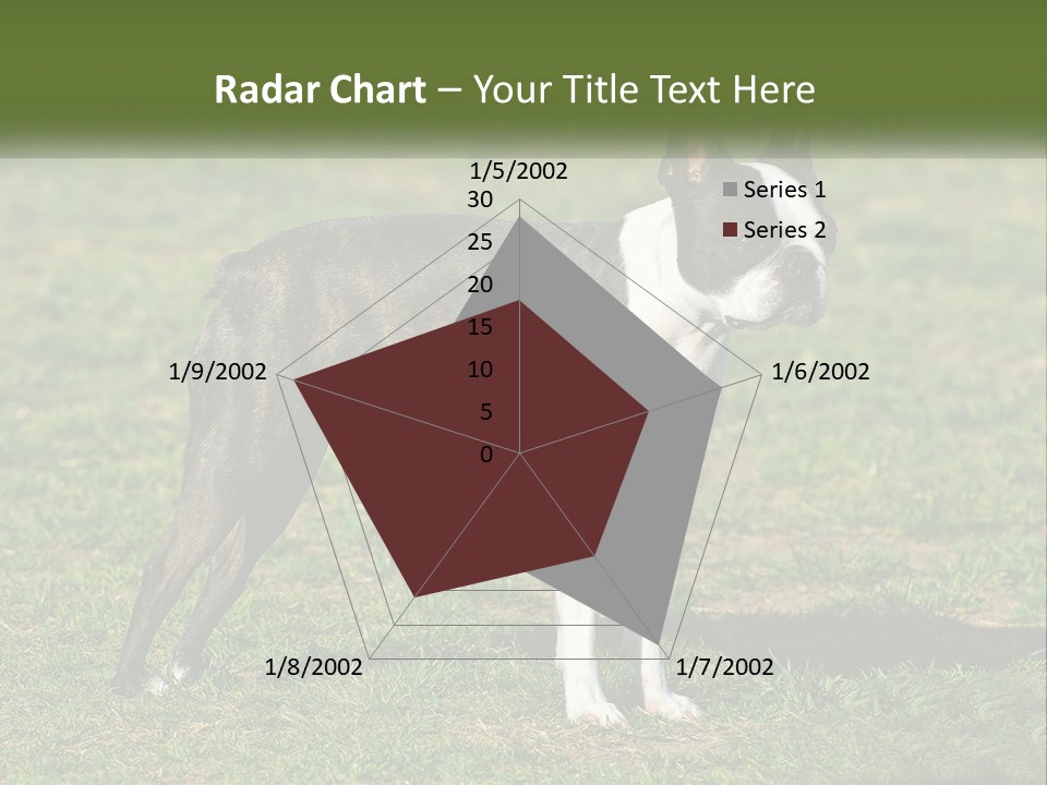 Ownership Home Loan PowerPoint Template