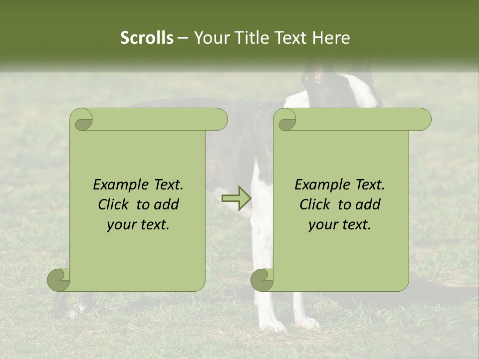 Ownership Home Loan PowerPoint Template
