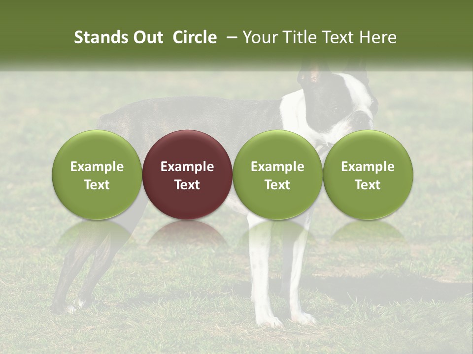 Ownership Home Loan PowerPoint Template