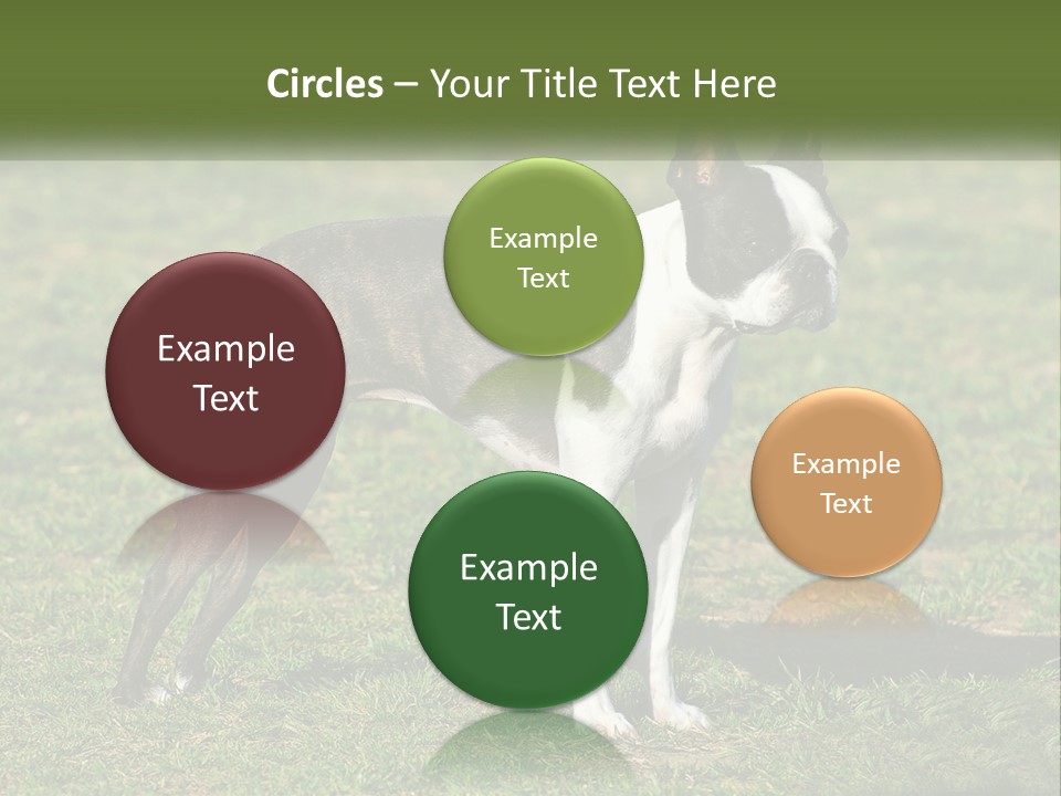 Ownership Home Loan PowerPoint Template