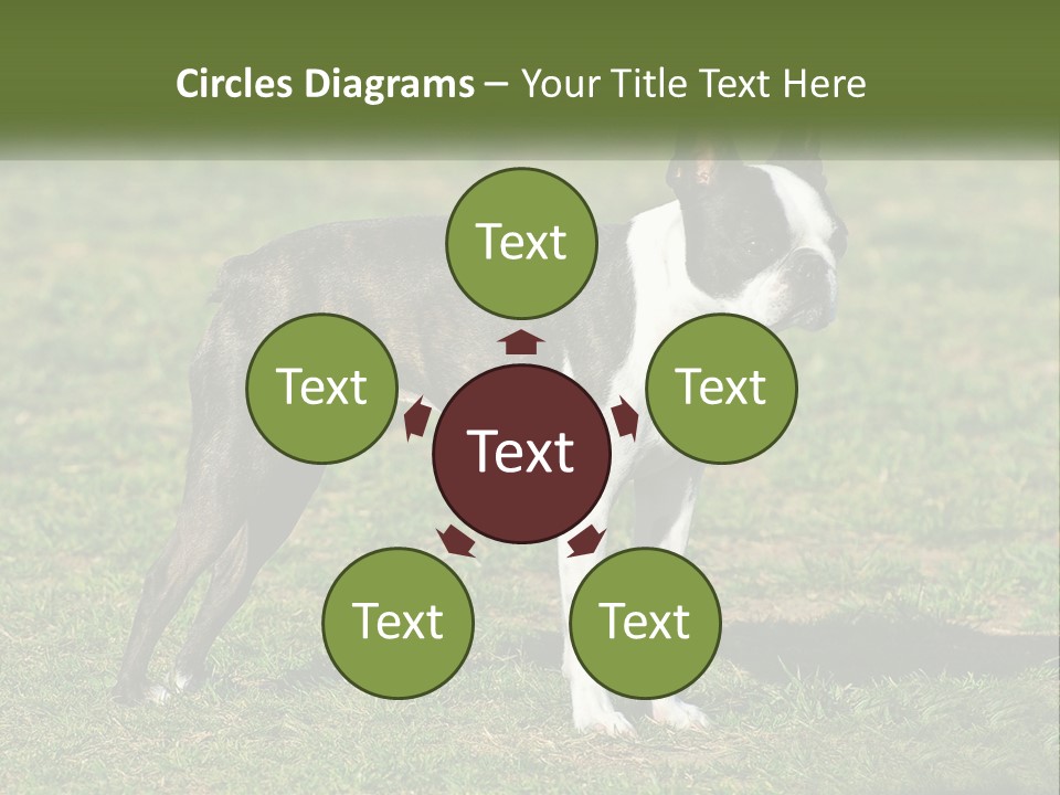 Ownership Home Loan PowerPoint Template