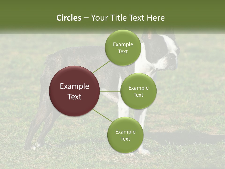 Ownership Home Loan PowerPoint Template