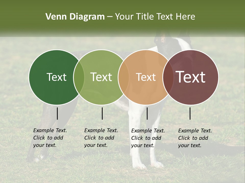 Ownership Home Loan PowerPoint Template