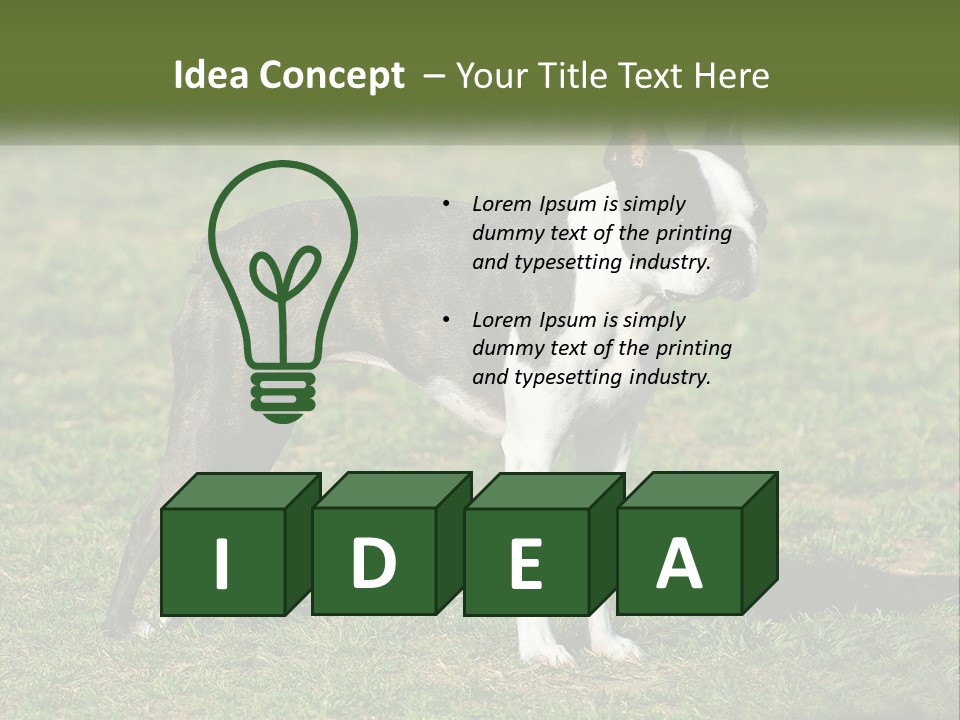 Ownership Home Loan PowerPoint Template