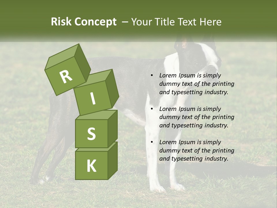 Ownership Home Loan PowerPoint Template