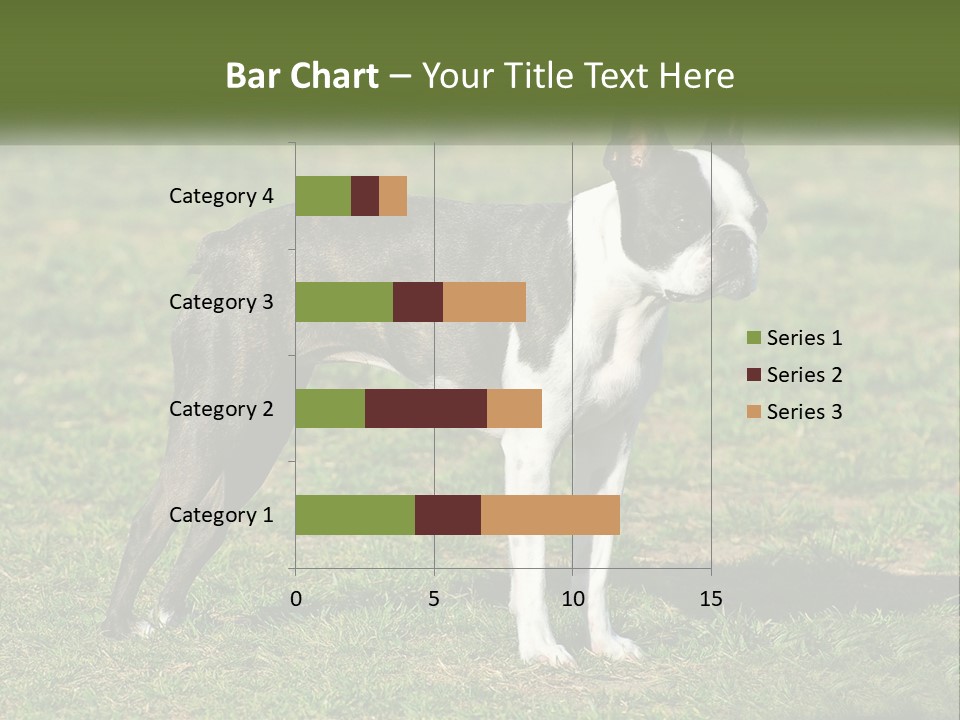 Ownership Home Loan PowerPoint Template