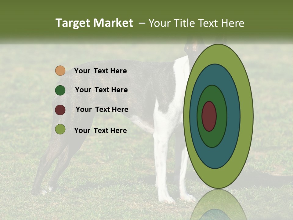 Ownership Home Loan PowerPoint Template