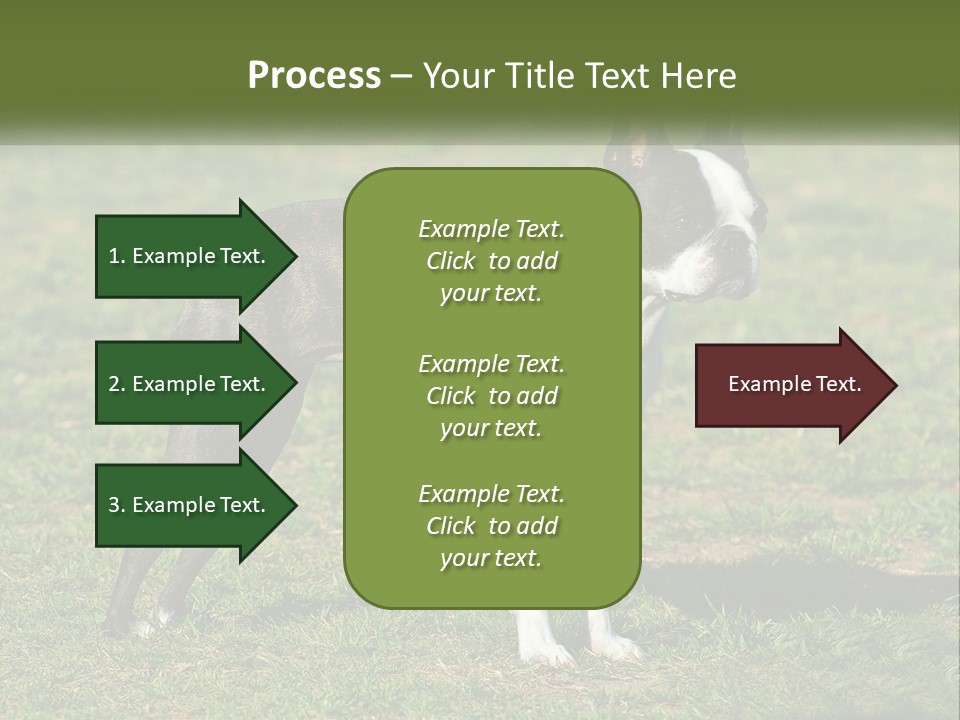 Ownership Home Loan PowerPoint Template