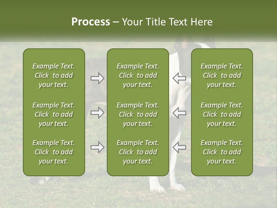 Ownership Home Loan PowerPoint Template