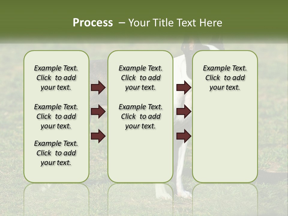 Ownership Home Loan PowerPoint Template