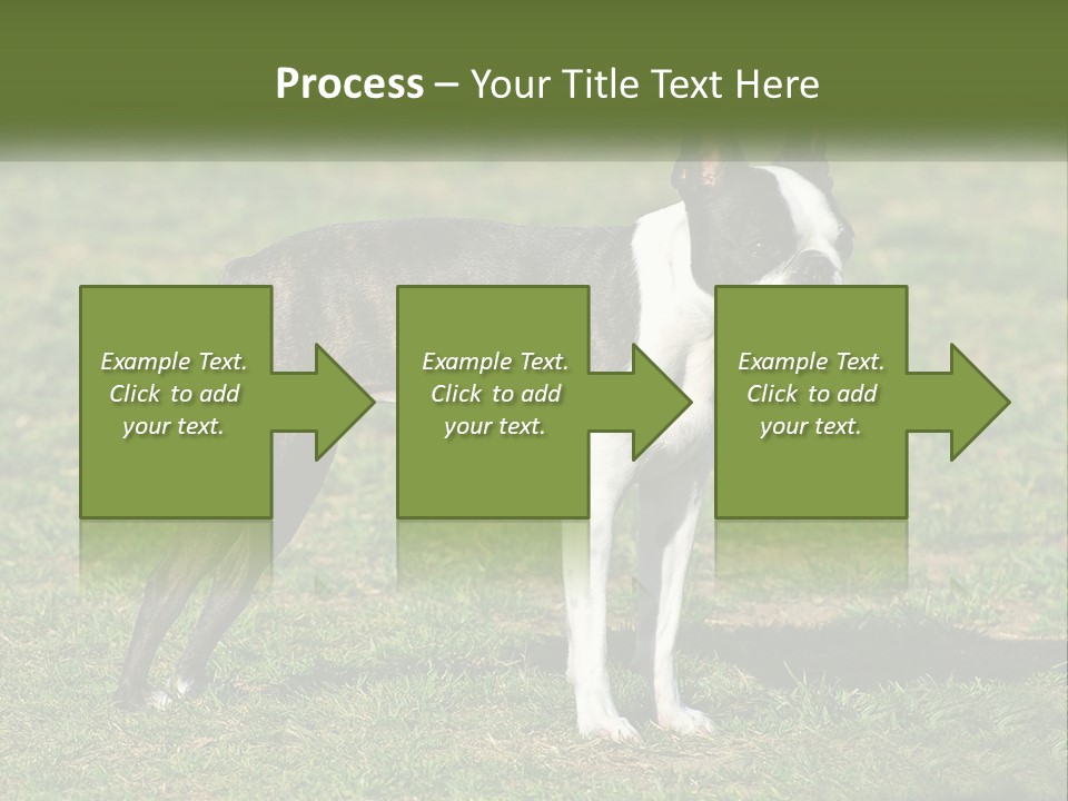 Ownership Home Loan PowerPoint Template