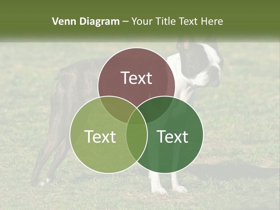 Ownership Home Loan PowerPoint Template