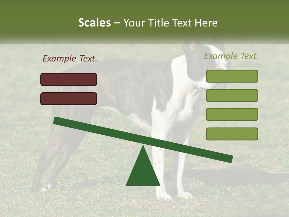Ownership Home Loan PowerPoint Template