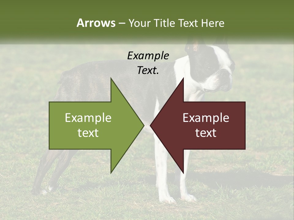 Ownership Home Loan PowerPoint Template