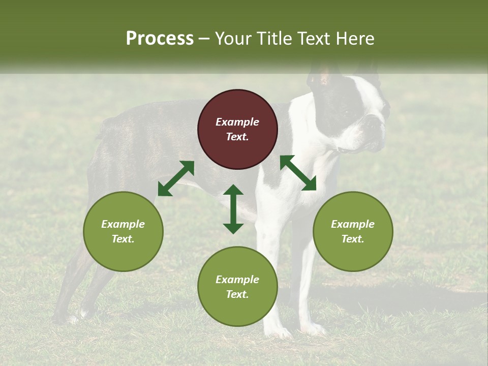 Ownership Home Loan PowerPoint Template