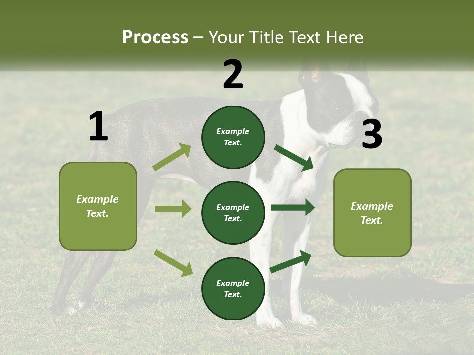 Ownership Home Loan PowerPoint Template