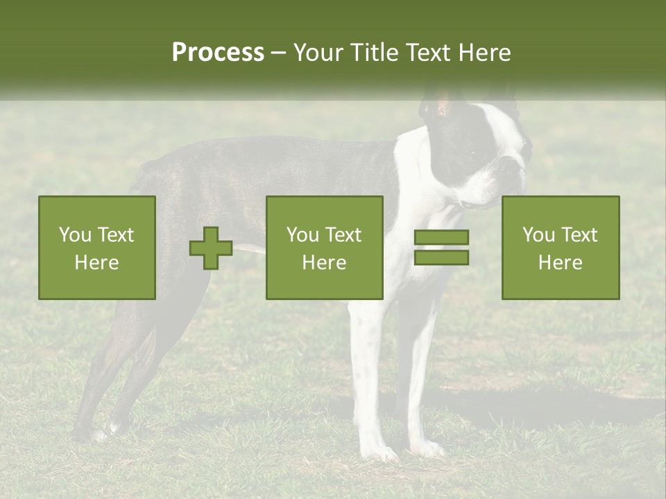 Ownership Home Loan PowerPoint Template