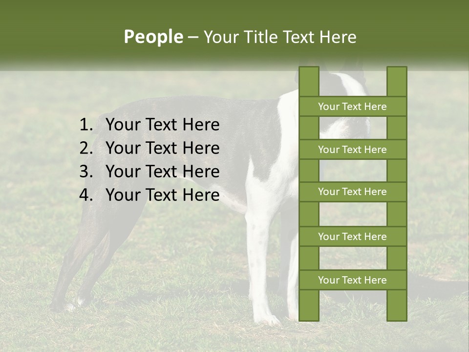 Ownership Home Loan PowerPoint Template